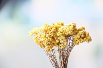 Sticker - Beautiful dried flowers on bright background