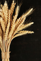 Poster - Spikelets of wheat on black wooden background