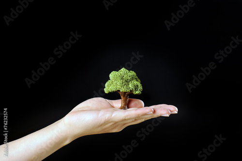 緑の木を大切に持っている人間の手 Stock Photo Adobe Stock