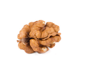 Sticker - Kernel walnut.