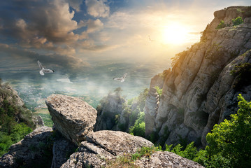 Wall Mural - birds and rocks