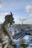 Fototapeta Paryż - Gargoyle looking at Paris.