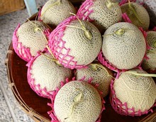 Fresh Cantaloupe For Sale At The Market