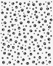 Black Trace Of Cats, Seamless Vector Wallpaper