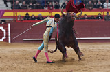 Bullfighter in a bullring