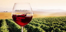 Bicchiere Di Vino Rosso In Vigneto
