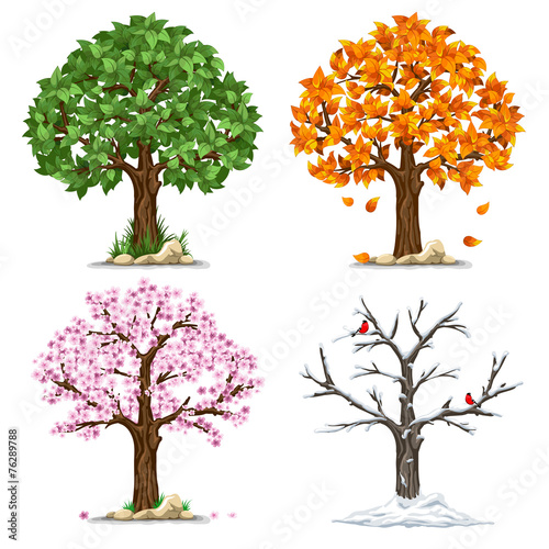 Four Seasons Buy This Stock Vector And Explore Similar