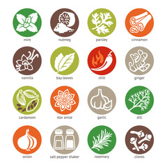 Wall Mural - Colorful web icon set - spices, condiments and herbs