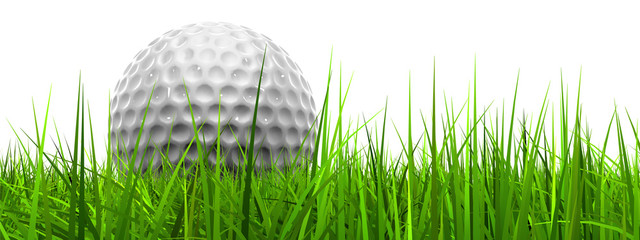 Wall Mural - White golf ball in grass isolated banner