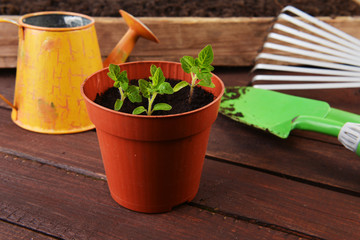 Gardening tools