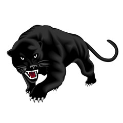 Panther