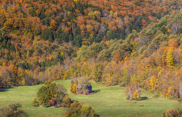 Wall Mural - Autumn foliage in Vermont countryside, VT