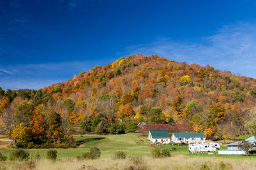 Wall Mural - Autumn foliage in Vermont countryside