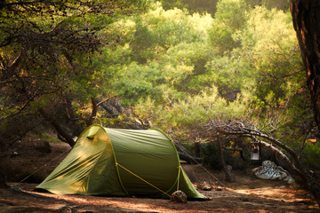wilderness camp