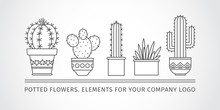 Linear Design Potted Cactus. Corporate Logo. Vector