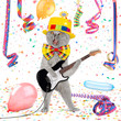 funny guitar cat