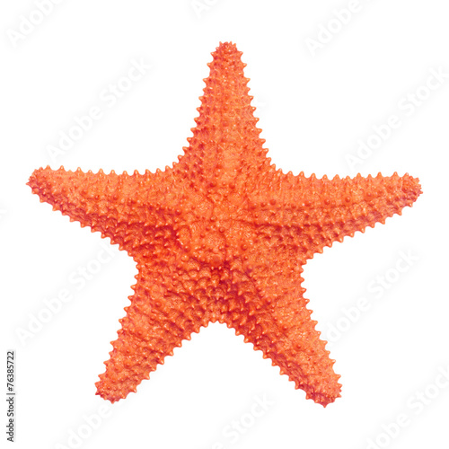 Fotografía Caribbean starfish isolated on white background.