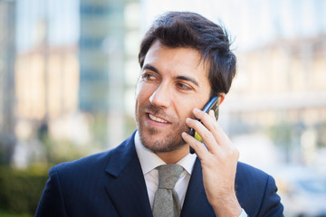 Wall Mural - Businessman talking on the phone