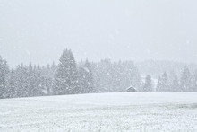 Snowstorm In Bavariah Meadows