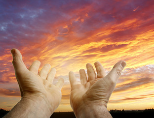 Wall Mural - Hands in sky