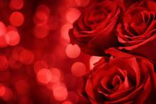 Red Roses On Bokeh Background