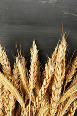 Poster - Spikelets of wheat on dark wooden background