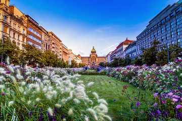 Poster - Wenceslas Square in Prague