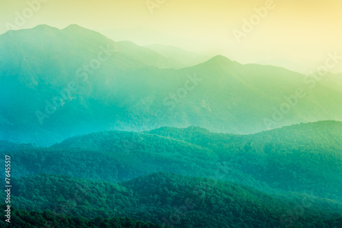 Doi Inthanon National Park.Thailand