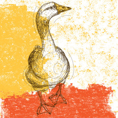 Wall Mural - Curious Goose