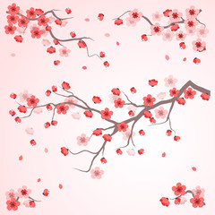 Oriental painting style, cherry blossom in spring time vector il