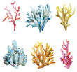 corals, watercolor, element, illustration