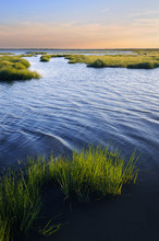 Ocean Inlet With Salt Marsh Grasses