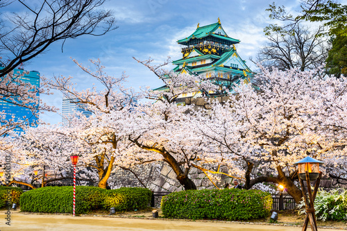 Osaka, Japan at Osaka Castle during the spring season. Poster