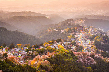 Fototapete - Yoshinoyama, Nara, Japan Hilltop village in Spring