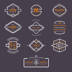 collection of 10 stylish line insignias/badges