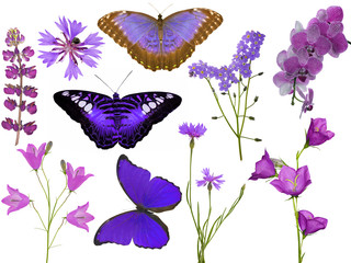 Sticker - set of pink butterflies and flowers isolated on white