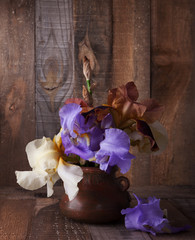 Wall Mural - Irises  in clay pot against old wooden wall