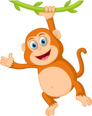 Cute monkey cartoon hanging