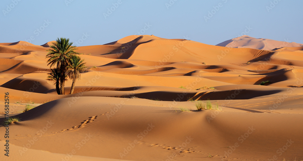 Morocco. Sand dunes of Sahara desert - obrazy, fototapety, plakaty 