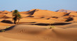 Leinwandbild Motiv Morocco. Sand dunes of Sahara desert