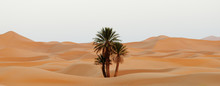 Morocco. Sand Dunes Of Sahara Desert