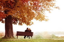 Young Couple Kissing On A Bench Under The Huge Chestnut .