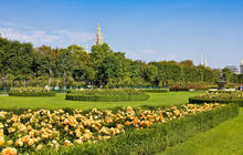 Volksgarten Park In Vienna, Austria On Sunny Day