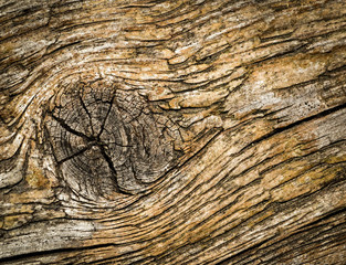 Wall Mural - old wood pattern