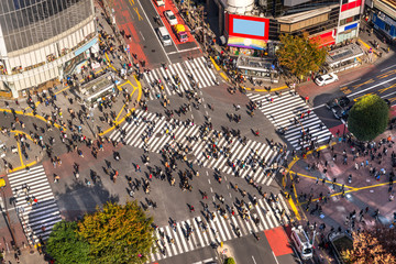 Wall Mural - Shibuya Crossing, Tokyo, Japan.