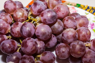 Wall Mural - the grape fruit