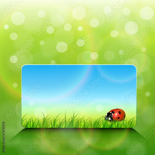 Sunny background green