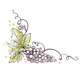 Watercolor illustration, vector -- bunch of grapes