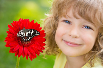 Wall Mural - Butterfly