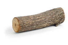 Willow Log Isolated
